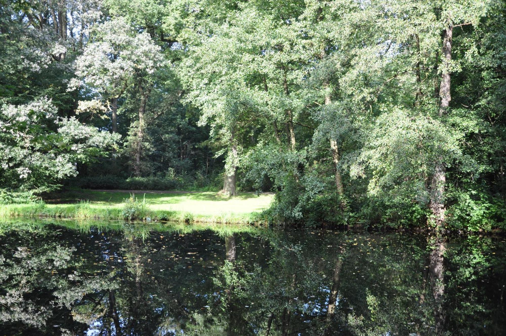 Munte Am Stadtwald